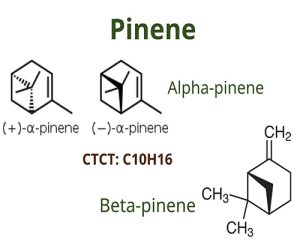 pinene 2